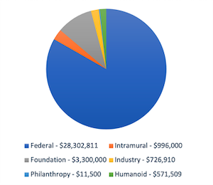 pie chart