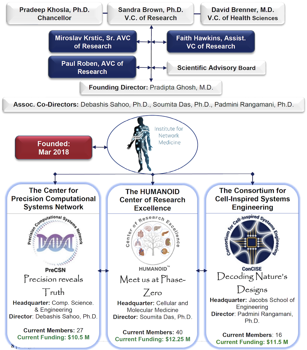 Institute governance org chart 