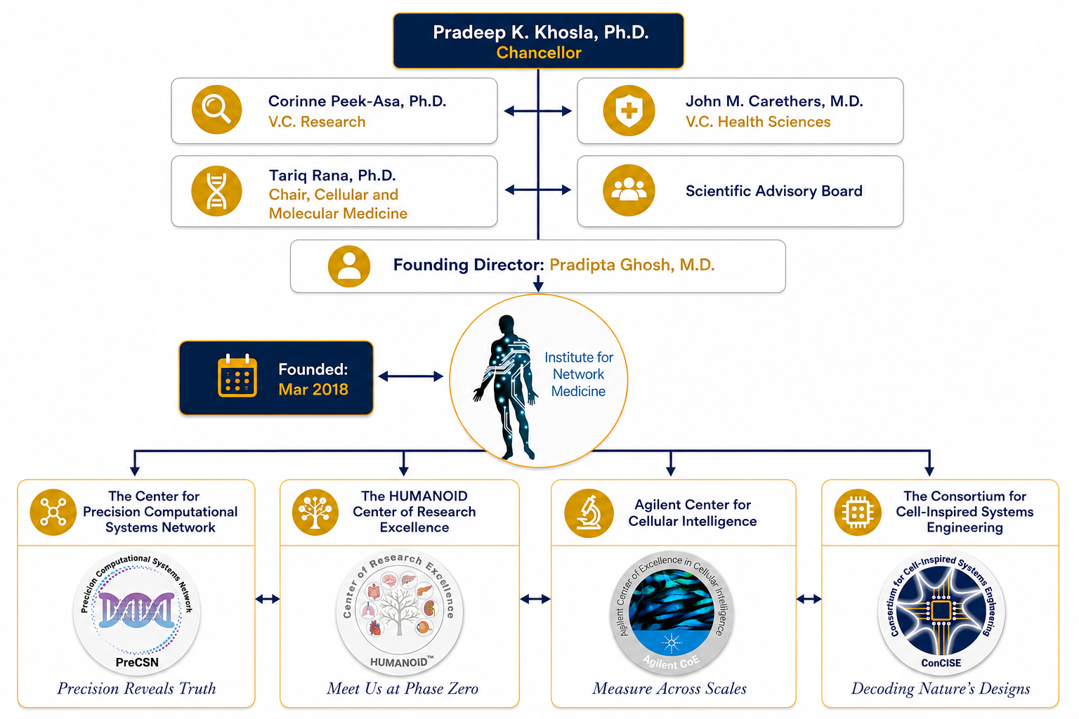 Institute governance org chart 