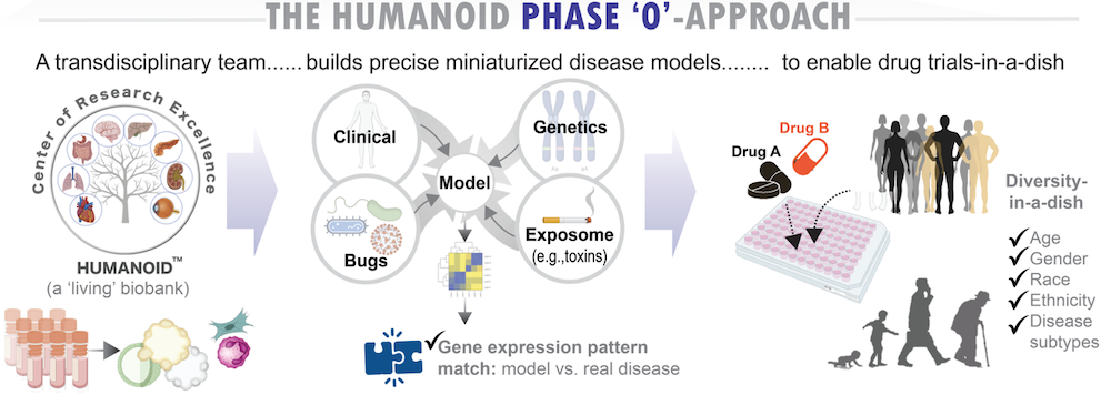 HUMANOID Services